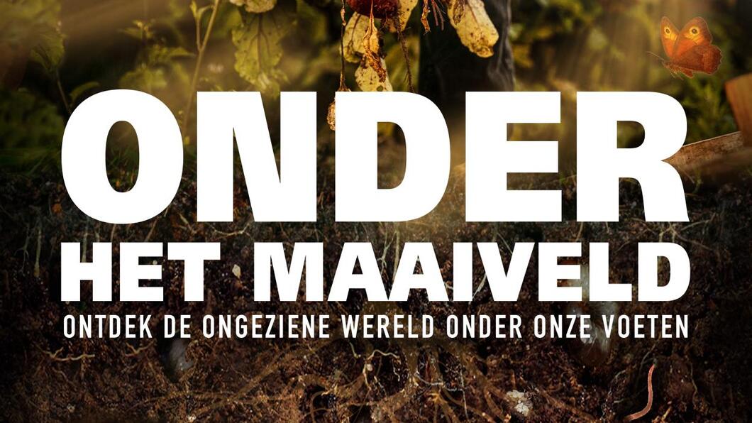 Onder het maaiveld