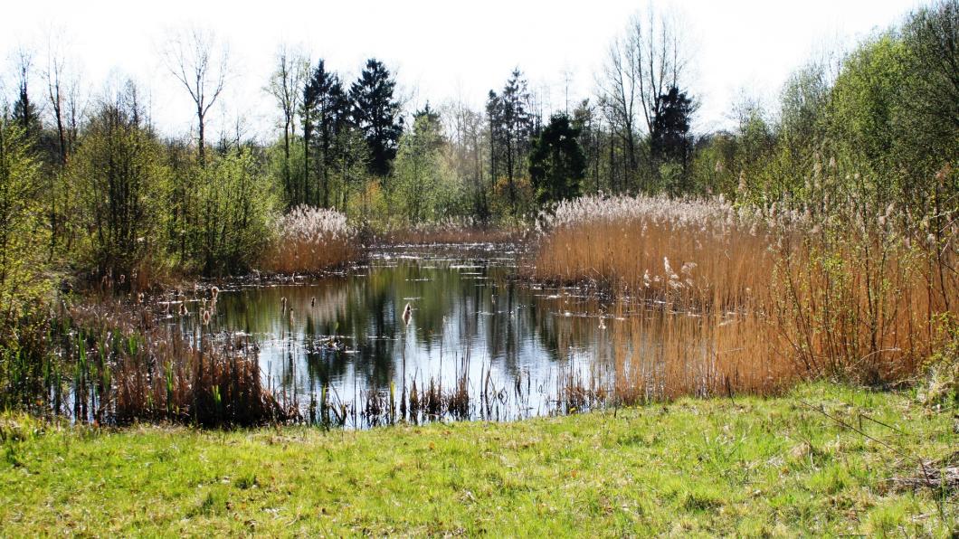 Natuur Natuur