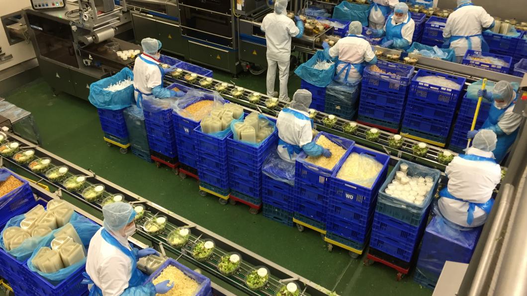 Arbeidsmigranten in de Drontense Agrofood Arbeidsmigranten in de Drontense Agrofood