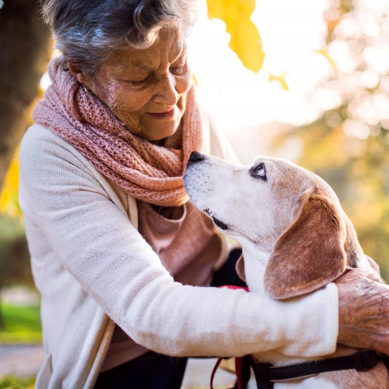 Een oudere vrouw knuffelt een beagle hond