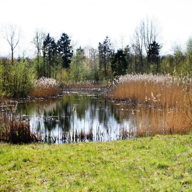 Natuur Natuur