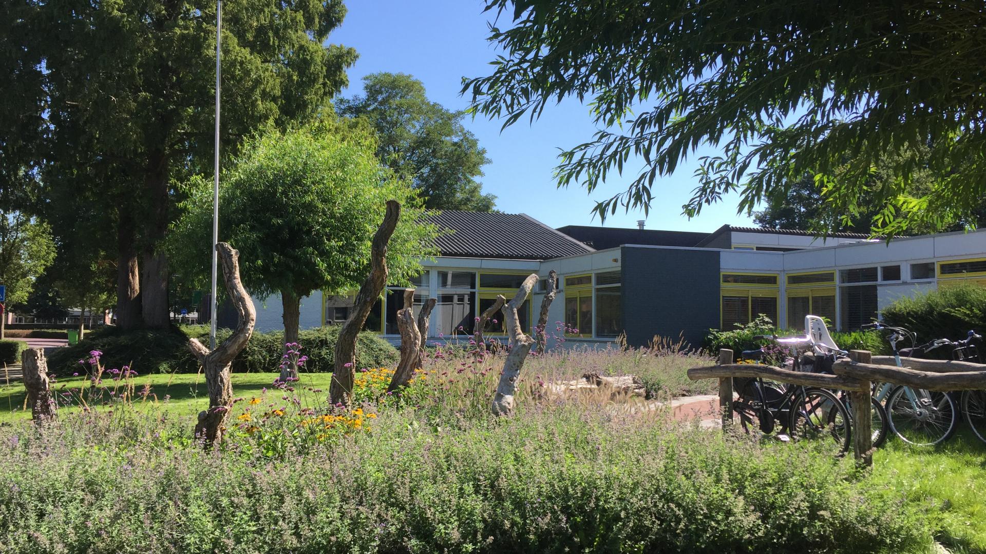 Groen schoolplein